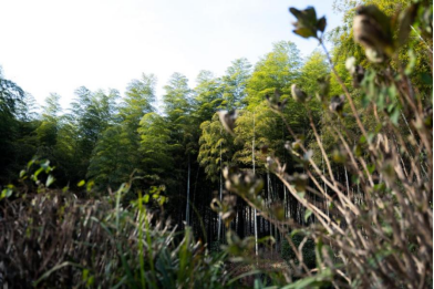 1639032803102170.png image.png