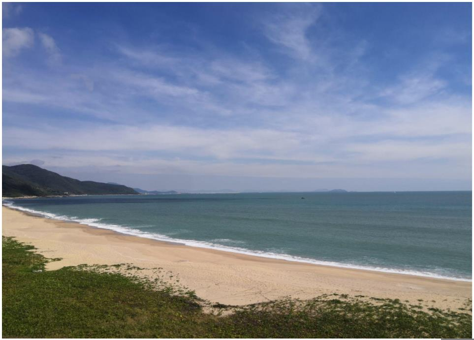 1667292775987225.png sy.png